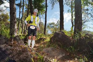 BIB: 
                            <button type="button" onclick="openModal(18937251)" class="btn btn-primary btn-sm float-right btn-popup" data-toggle="modal" data-target=".modal-high-quality">
                        <i class="fas fa-shopping-cart"></i> Add to Cart
                    </button>
                                            <button type="button" onclick="isThisMe(18937251, true)" class="btn btn-success btn-sm float-right btn-popup btn-isme hidden" data-toggle="tooltip" data-placement="bottom" title="นี่คือรูปของคุณใช่ไหม คลิกที่นี่เพื่อเอาเข้าอัลบั้ม">
                        <i class="fas fa-plus"></i> Add to album
                    </button>
                    <button type="button" onclick="isThisMe(18937251, false)" class="btn btn-warning btn-sm float-right btn-popup btn-isnotme hidden">
                        <i class="fas fa-ban"></i> Remove from album
                    </button>